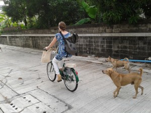 Multilingual Mama bread delivery