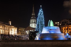 Christmas tree on Trafalgar Square, London