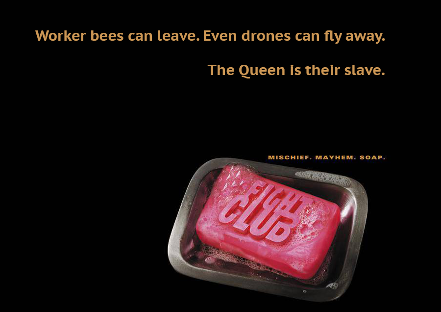 fight club soap